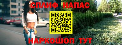 apvp Свободный
