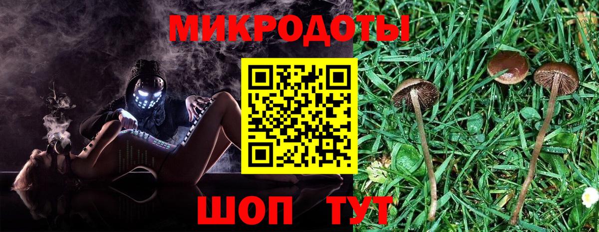 Светлоград  Псилоцибиновые грибы мицелий  Вход с VPN  где найти наркотики  Галлюциногенные грибы ЛСД 